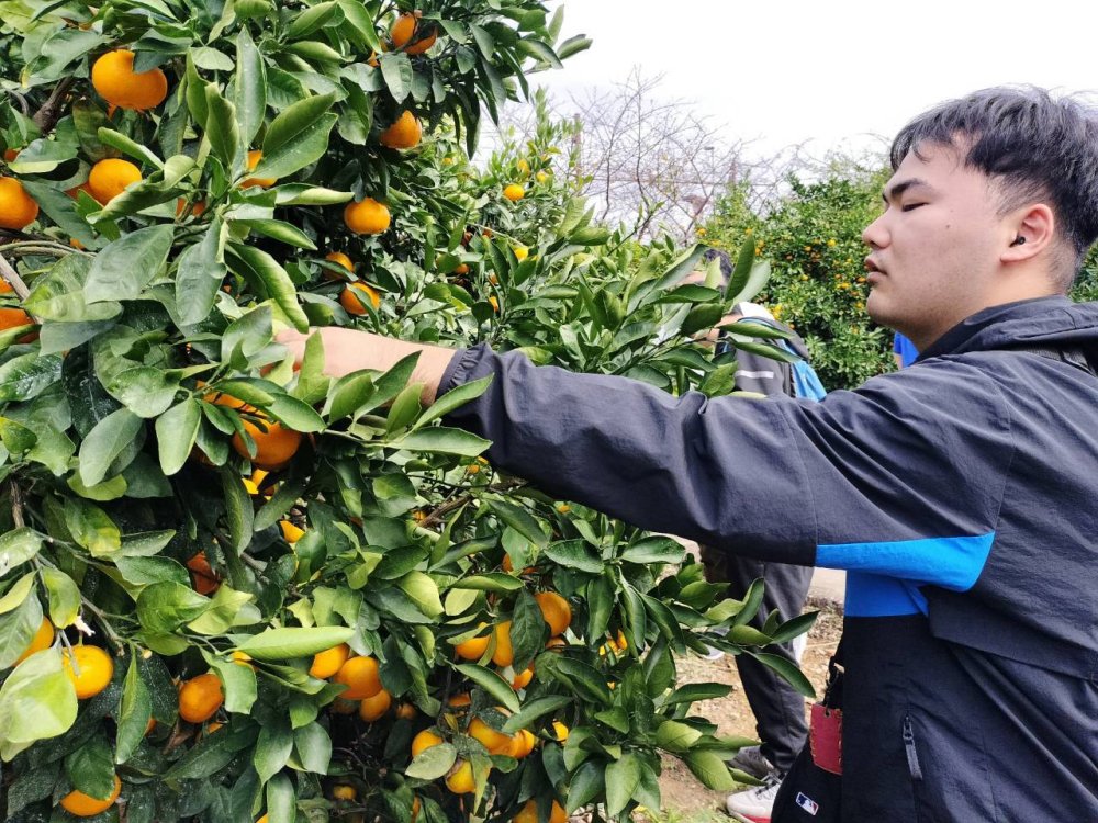 20261027100514.10.22-23 伊豆旅行_261025_53.jpg 20261027100514.10.22-23 伊豆旅行_261025_53.jpg